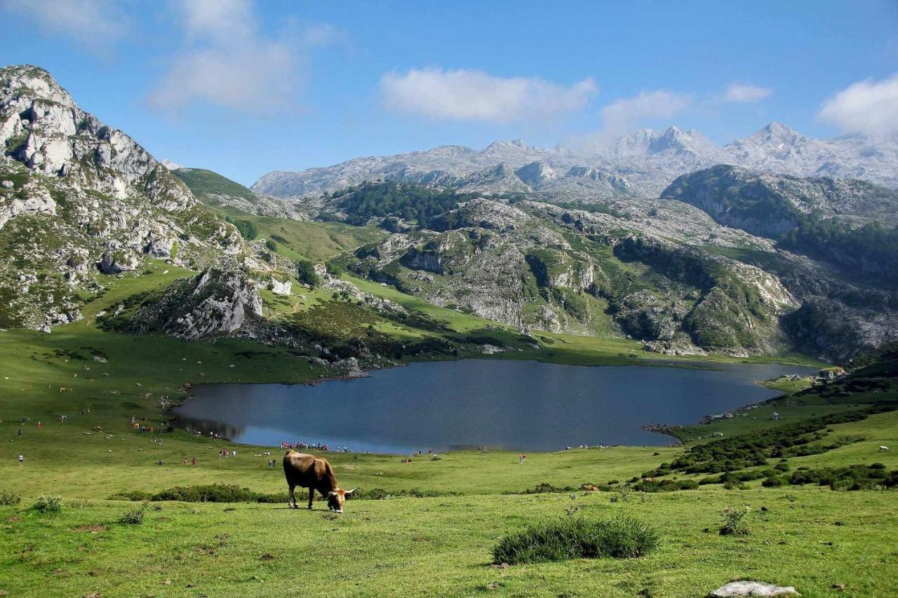 Casa Rural Kiko Asturias Bimenes Eksteriør billede